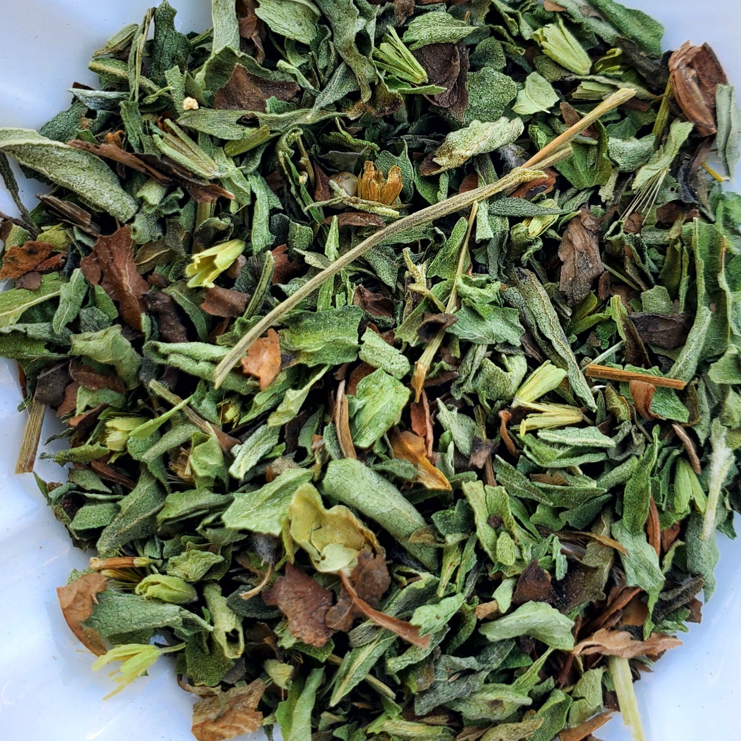 Stevia Leaf