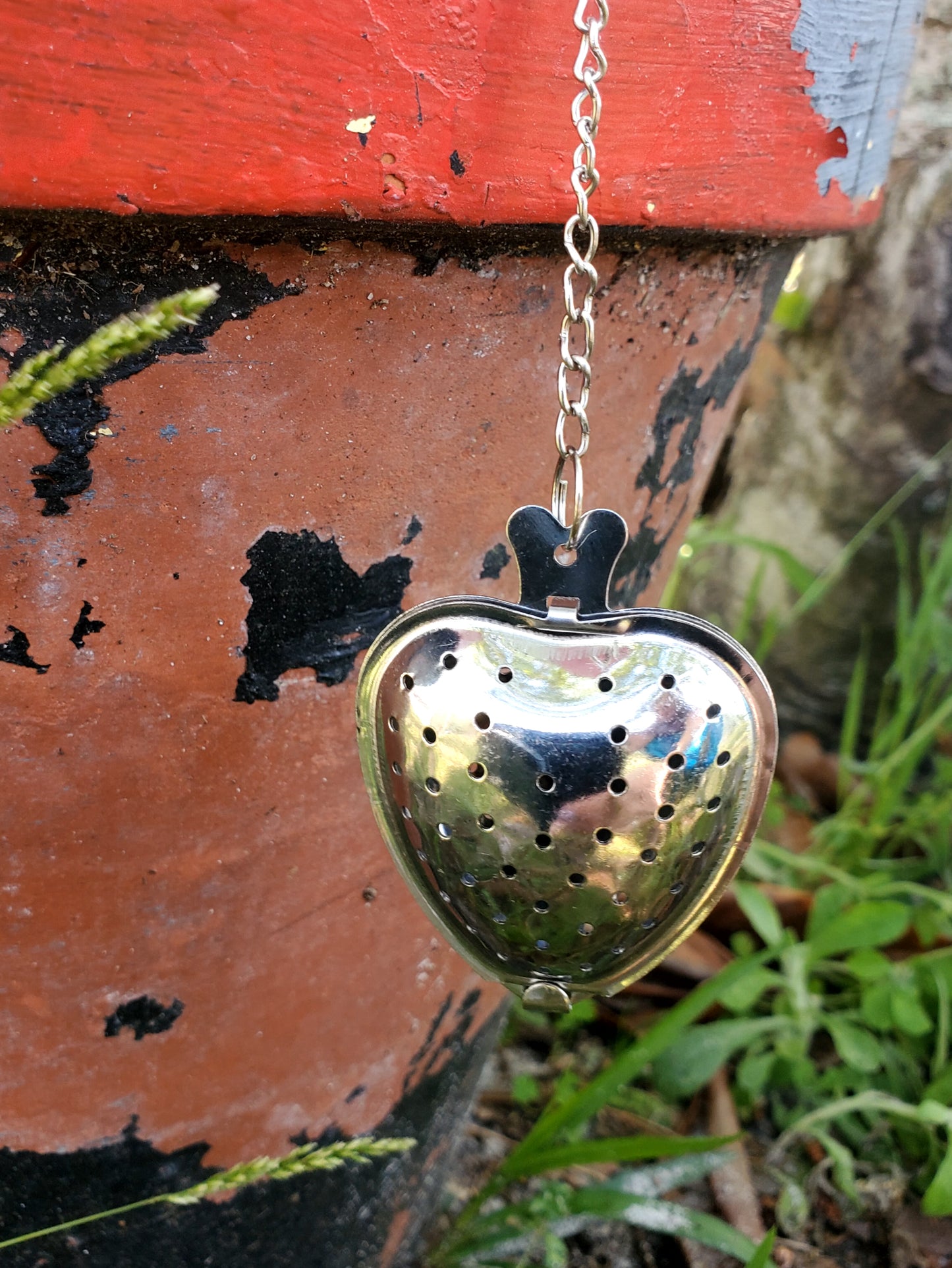 Heart-shaped Infuser
