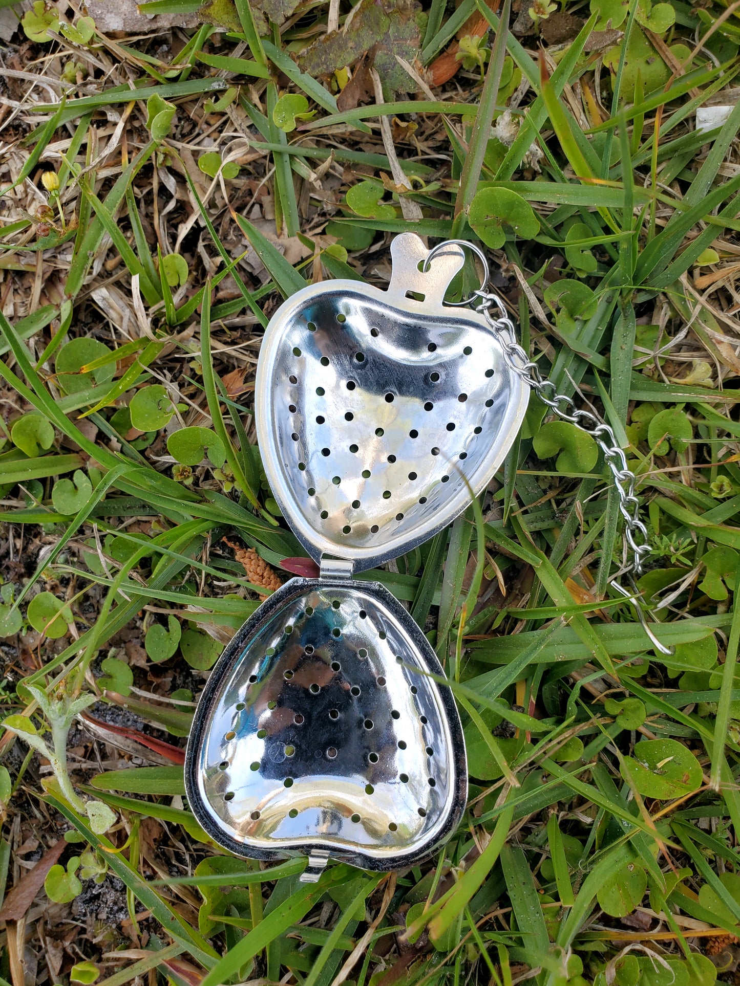 Heart-shaped Infuser