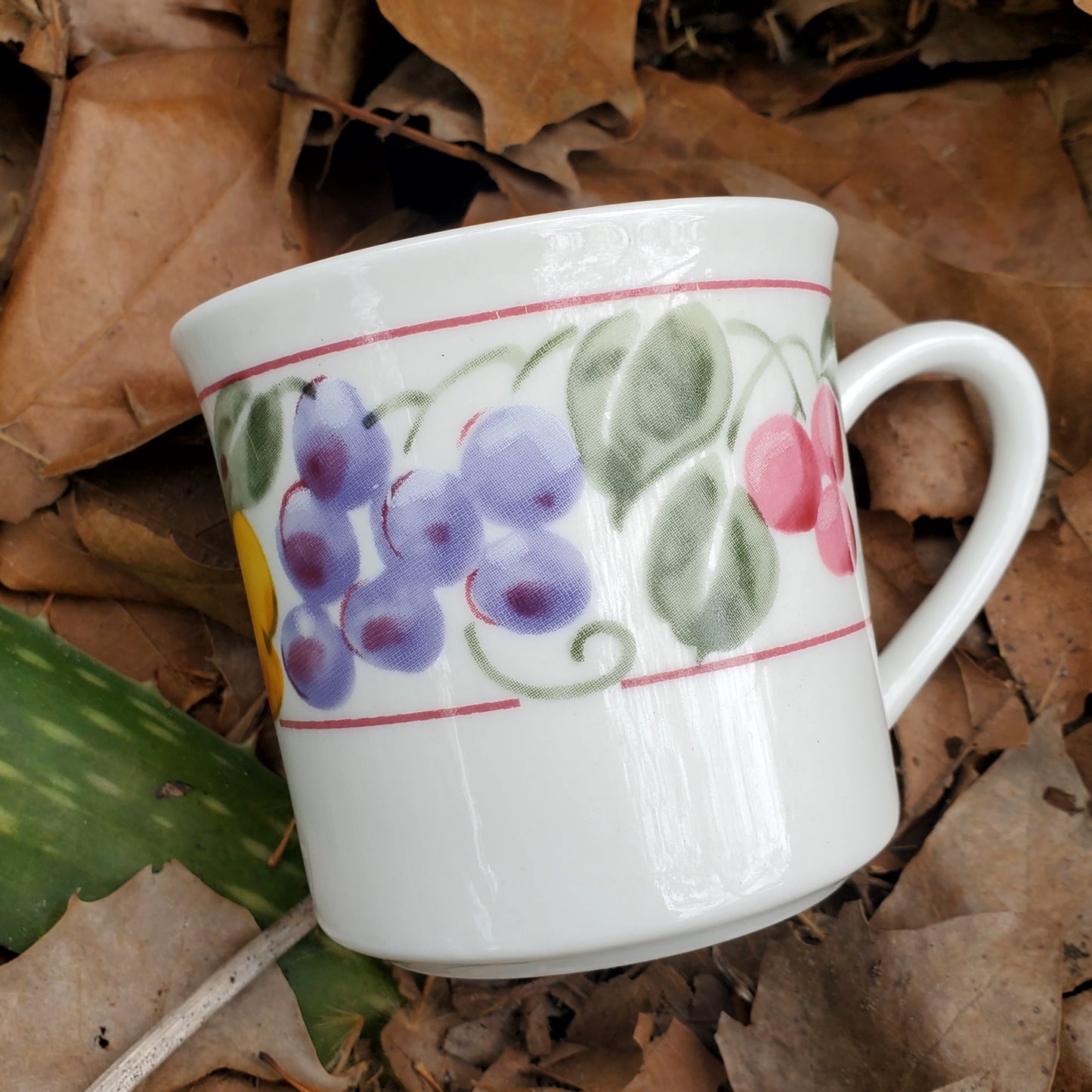Fruit Patterned Teacup