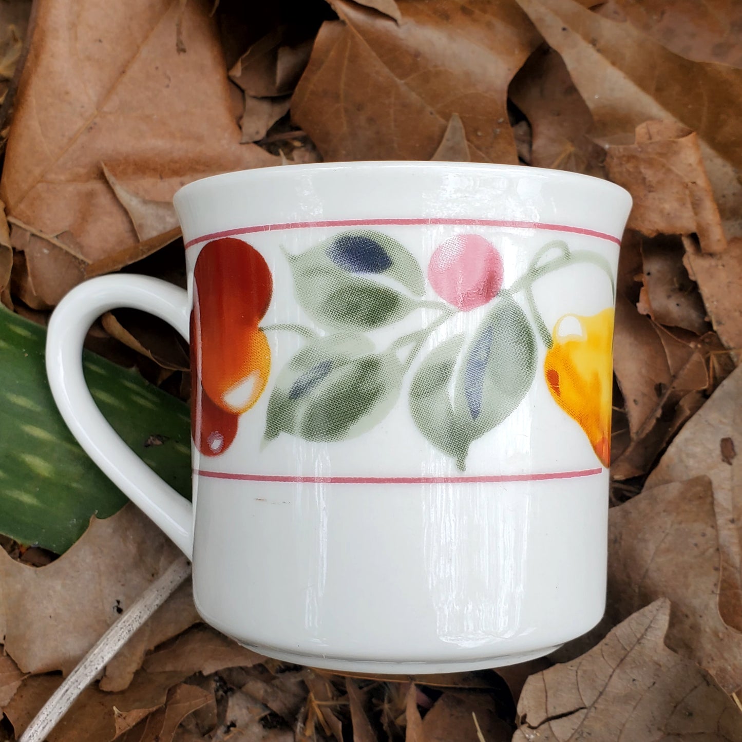 Fruit Patterned Teacup