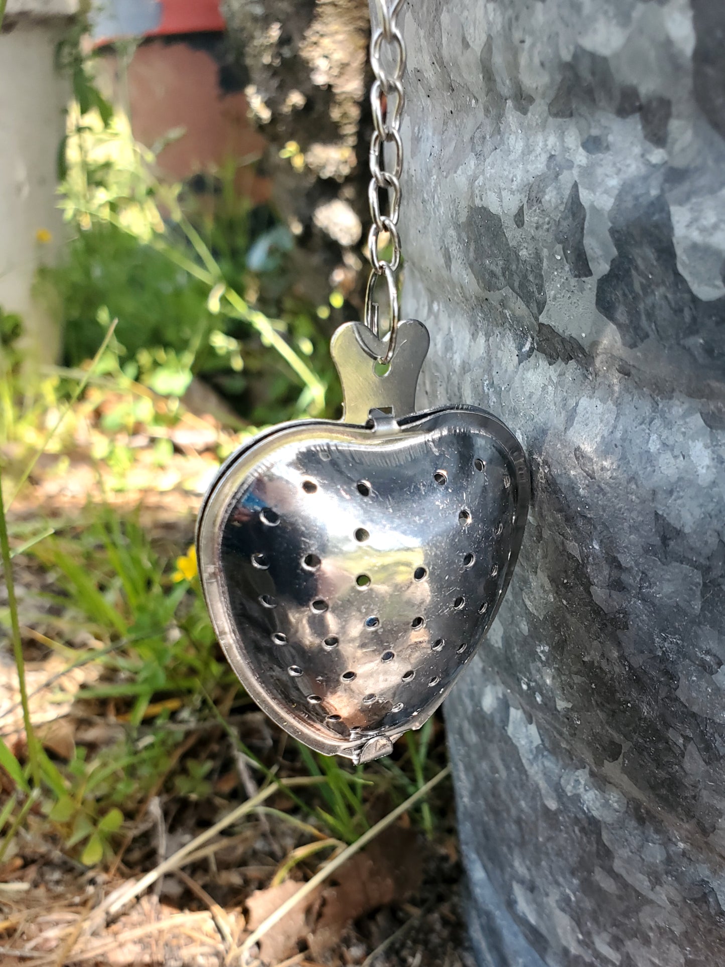 Heart-shaped Infuser