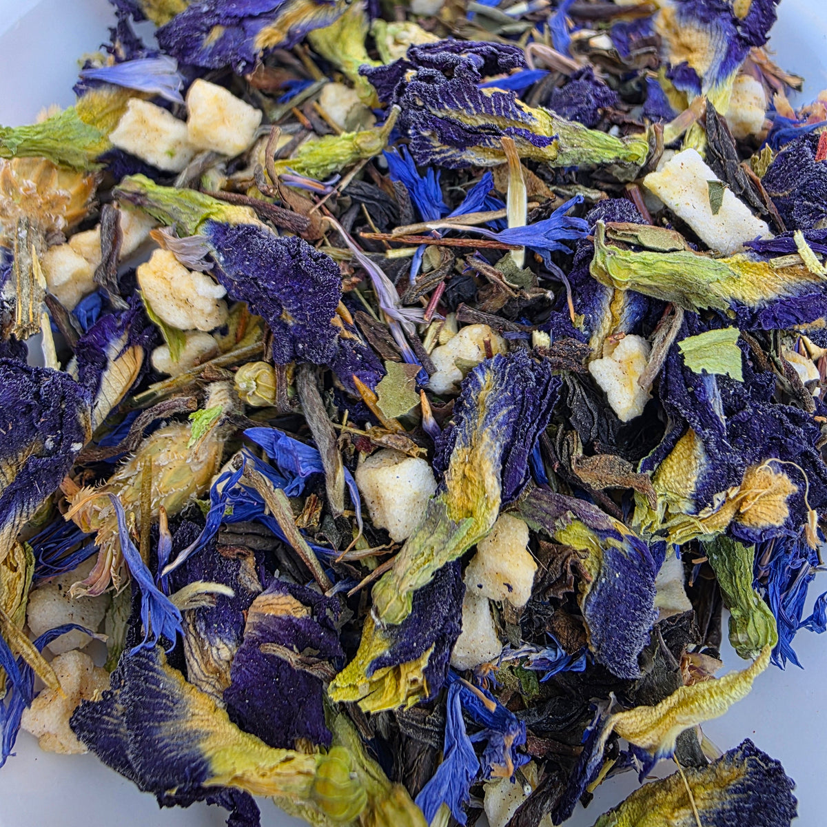Blue Butterfly Pea White Tea