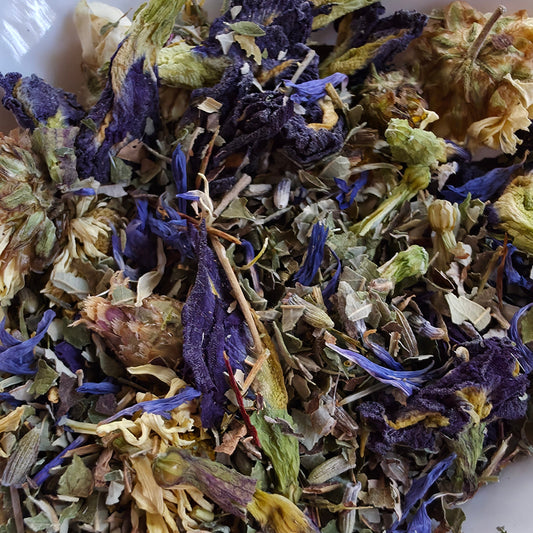 Blue Butterfly Pea Flower tea