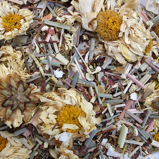 Chrysanthemum herbal tea