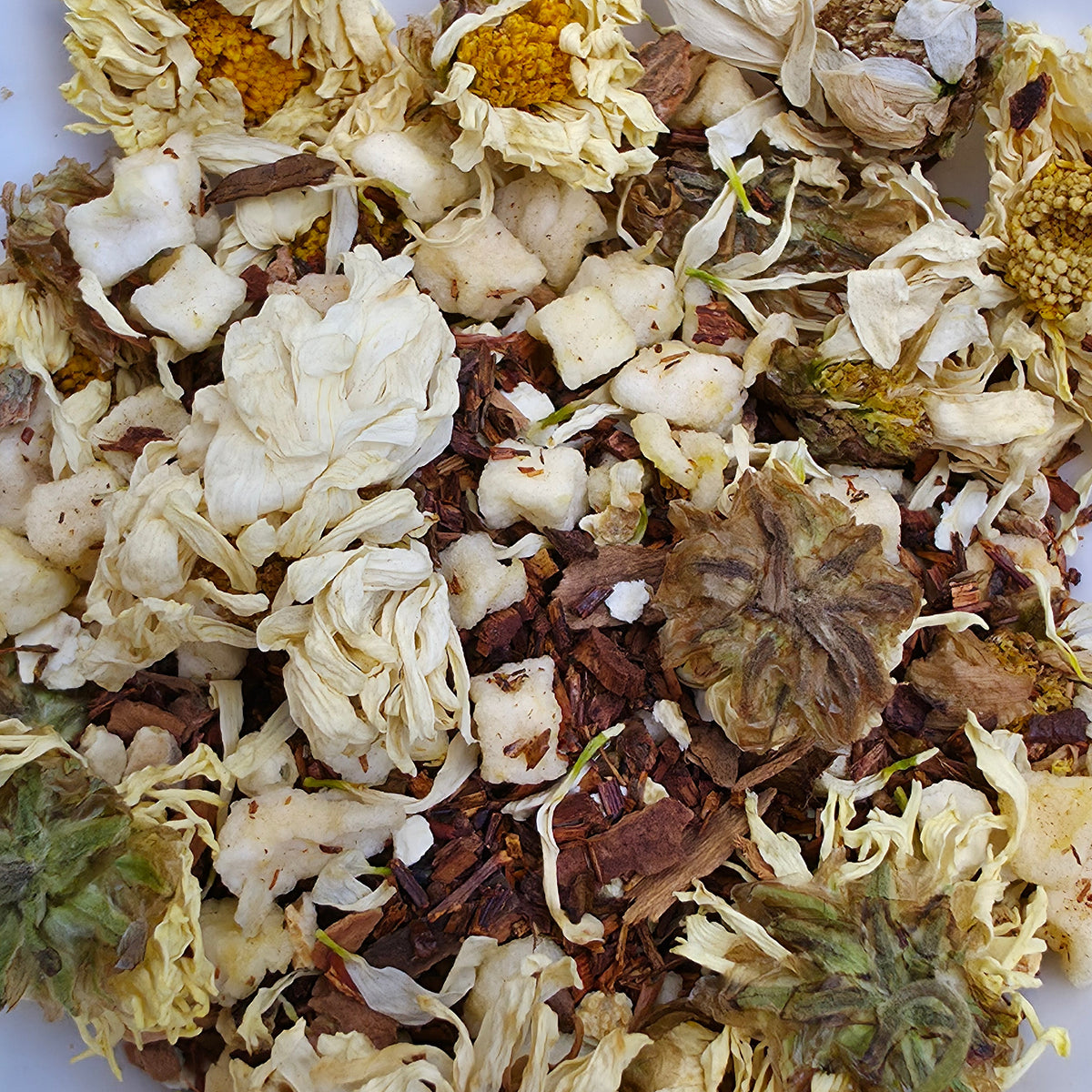 Chrysanthemum herbal tea with apple