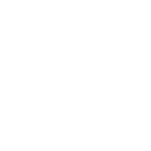 SwampWitch Louise LLC