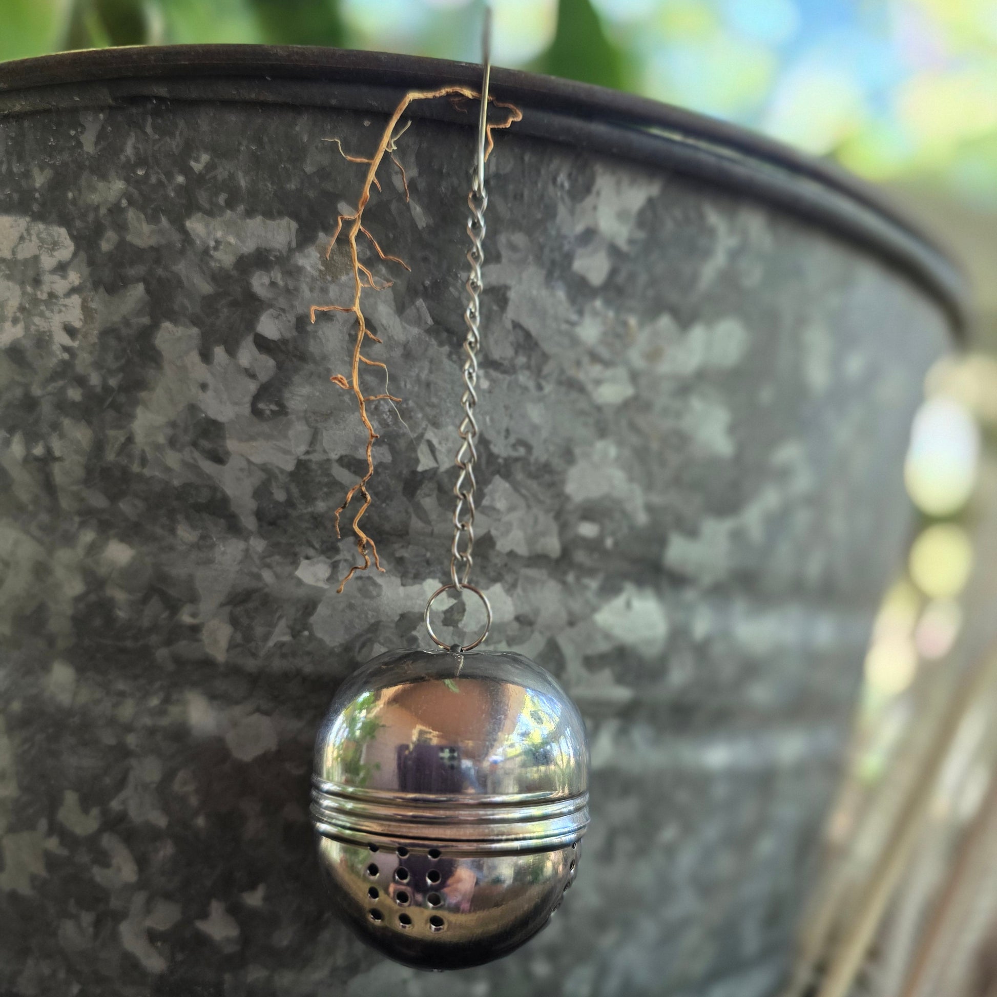 stainless steel oval infuser